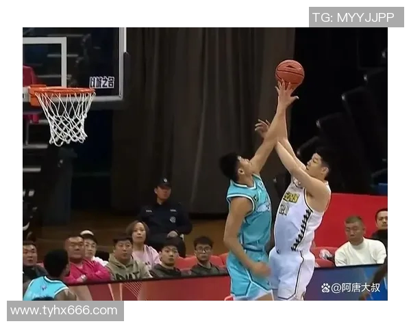 回看山东与青岛的精彩对决，分析比赛亮点与球队表现